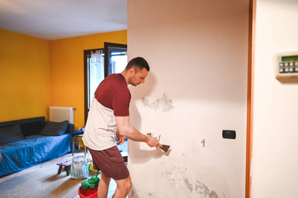Best Mold Cleaning Services  in Byron, MN